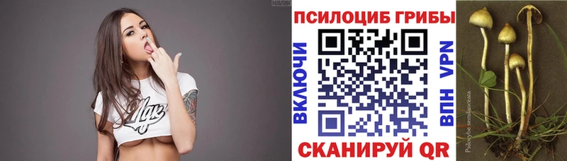 цены   Муром  Псилоцибиновые грибы мухоморы 