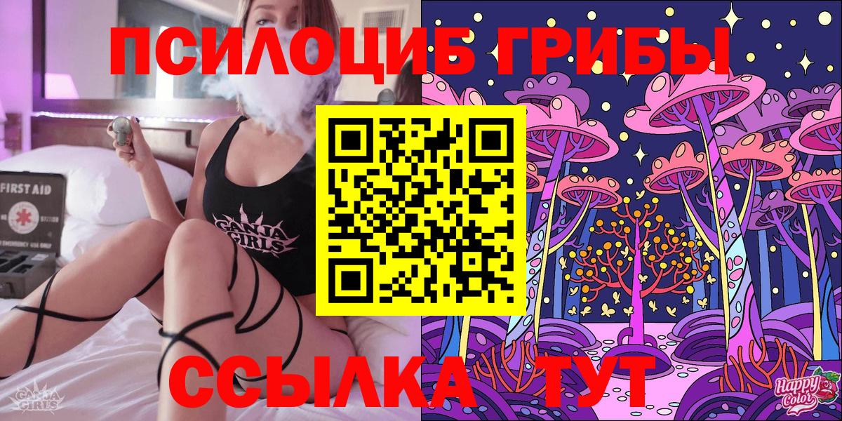 Муром  Псилоцибиновые грибы Psilocybe  Вход с VPN  Псилоцибиновые грибы MAGIC MUSHROOMS 