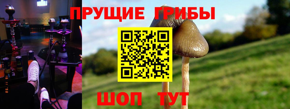 Бошки Шишки Муром